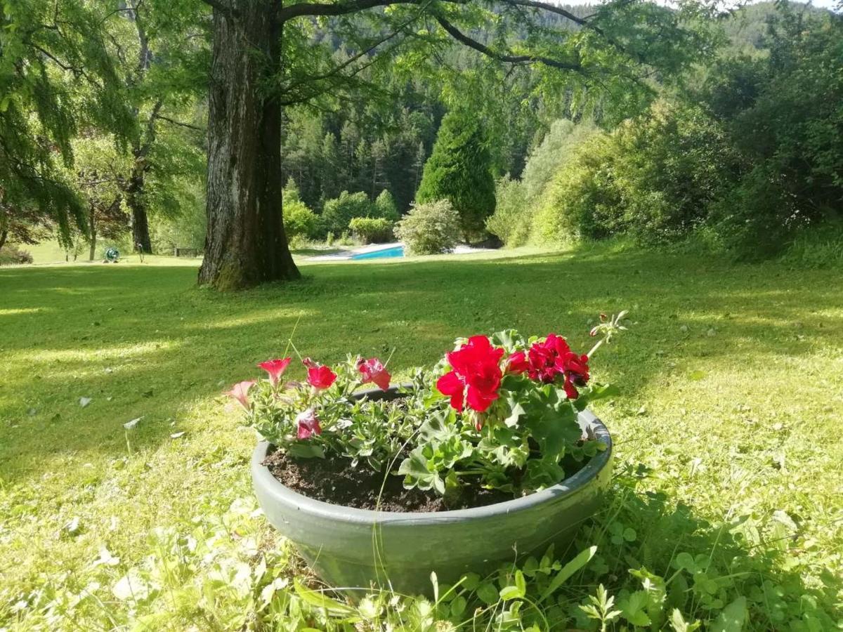 Landsitz Oberhof Petit Hotel Muggendorf  Buitenkant foto